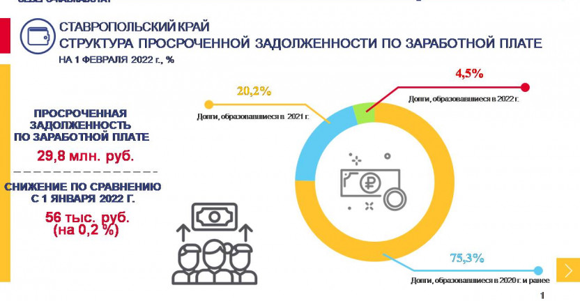 Структура просроченной задолженности по заработной плате на 1 февраля 2022 г.